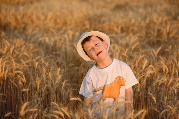 Niño Hermoso Campo Solar Verano Trigo Oro —  Fotos de Stock