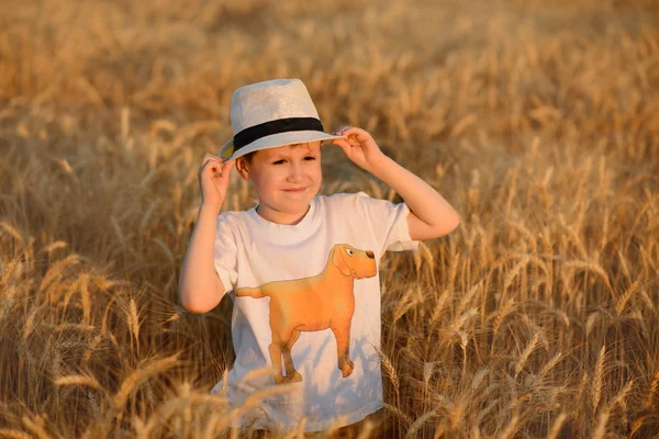 Όμορφο Αγόρι Στο Πεδίο Καλοκαίρι Ηλιακής Χρυσό Σιτάρι — Φωτογραφία Αρχείου