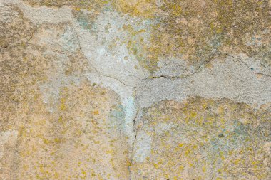 Çizik ve çatlaklarla dolu bir duvar parçası.