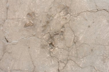 Çizikler ve çatlaklar ile duvar parçası. Arka plan olarak kullanılabilir