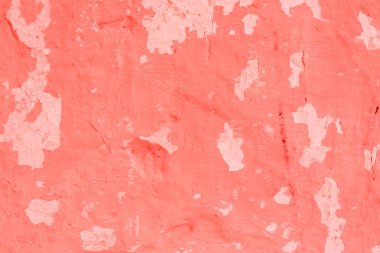 Doku, duvar, beton, yaşam mercan. Arka plan olarak kullanılabilir. Duvar parçası çizikler ve çatlaklar ile