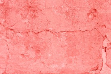 Doku, duvar, beton, yaşam mercan. Arka plan olarak kullanılabilir. Duvar parçası çizikler ve çatlaklar ile