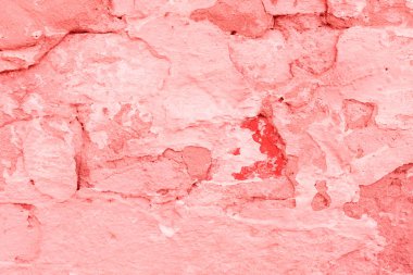 Doku, duvar, beton, yaşam mercan. Arka plan olarak kullanılabilir. Duvar parçası çizikler ve çatlaklar ile