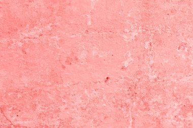 Doku, duvar, beton, yaşam mercan. Arka plan olarak kullanılabilir. Duvar parçası çizikler ve çatlaklar ile