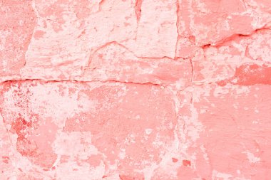 Doku, duvar, beton, yaşam mercan. Arka plan olarak kullanılabilir. Duvar parçası çizikler ve çatlaklar ile