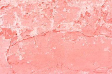 Doku, duvar, beton, yaşam mercan. Arka plan olarak kullanılabilir. Duvar parçası çizikler ve çatlaklar ile