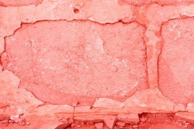 Doku, duvar, beton, yaşam mercan. Arka plan olarak kullanılabilir. Duvar parçası çizikler ve çatlaklar ile