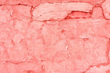 Doku, duvar, beton, yaşam mercan. Arka plan olarak kullanılabilir. Duvar parçası çizikler ve çatlaklar ile