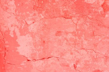 Doku, duvar, beton, yaşam mercan. Arka plan olarak kullanılabilir. Duvar parçası çizikler ve çatlaklar ile