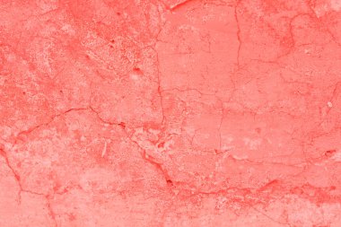 Doku, duvar, beton, yaşam mercan. Arka plan olarak kullanılabilir. Duvar parçası çizikler ve çatlaklar ile