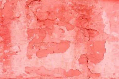 Doku, duvar, beton, yaşam mercan. Arka plan olarak kullanılabilir. Duvar parçası çizikler ve çatlaklar ile