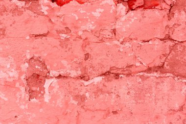 Doku, duvar, beton, yaşam mercan. Arka plan olarak kullanılabilir. Duvar parçası çizikler ve çatlaklar ile