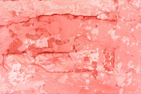 Doku, duvar, beton, yaşam mercan. Arka plan olarak kullanılabilir. Duvar parçası çizikler ve çatlaklar ile