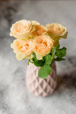 Güzel taze bej gül bir beton zemin üzerine bir kil vazosu. Döşeme ve dekorasyon bir tablo