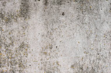 Çizik ve çatlaklarla dolu bir duvar parçası.