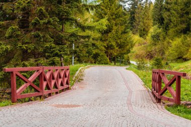 Orman dağ nehri ile güzel ahşap köprü