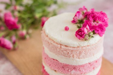 Hafif beton arka planda güzel pembe krem ve çilek kek. Doğum günü kutlama