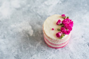 Hafif beton arka planda güzel pembe krem ve çilek kek. Doğum günü kutlama