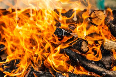 Yanan odun ateş yakın. Yangın ahşap günlükleri Outdoor BBQ stok görüntü