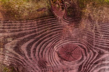 Doku, ahşap, duvar, arka plan olarak kullanılabilir. Çizik ve çatlaklarla ahşap doku