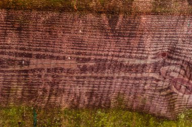 Doku, ahşap, duvar, arka plan olarak kullanılabilir. Çizik ve çatlaklarla ahşap doku