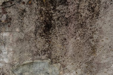 Doku, duvar, beton, arka plan olarak kullanılabilir. Çizik ve çatlaklarla dolu bir duvar parçası.