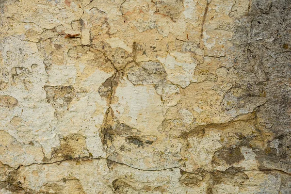 Textura Pared Hormigón Puede Utilizar Como Fondo Fragmento Pared Con — Foto de Stock