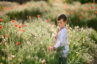 Güzel esmer çocuk yaz aylarında bir haşhaş alanında geleneksel bir kostüm 5-6 yaşında