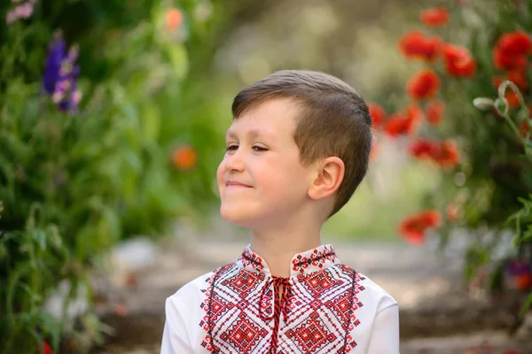 Ganska Brunett Pojke Gammal Traditionell Kostym Vallmo Fält Sommaren — Stockfoto