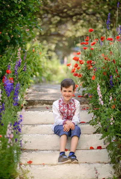 Ganska Brunett Pojke Gammal Traditionell Kostym Vallmo Fält Sommaren — Stockfoto