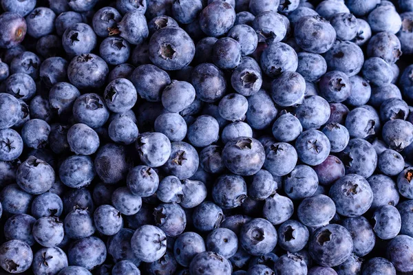 Blueberry Antioxidant Biologisch Voedsel Een Kom Concept Voor Gezond Eten — Stockfoto