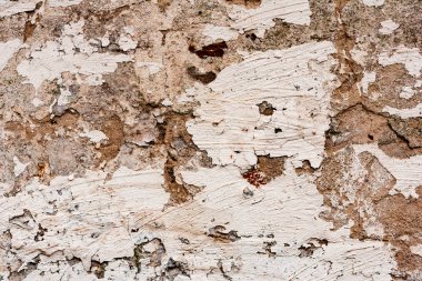 Çatlakları ve çizikleri olan beton bir duvarın dokusu arka plan olarak kullanılabilir.