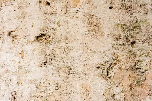 Textura Una Pared Hormigón Con Grietas Arañazos Que Pueden Utilizar —  Fotos de Stock