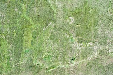 Çatlakları ve çizikleri olan beton bir duvarın dokusu arka plan olarak kullanılabilir.