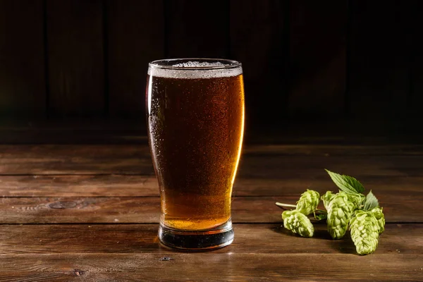 Glass beer on wood background with copy space. Full glass with lager beer, close up