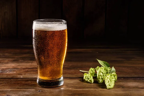 Glass beer on wood background with copy space. Full glass with lager beer, close up
