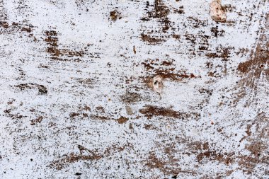 Çatlakları ve çizikleri olan tuğla duvar dokusu arka plan olarak kullanılabilir.