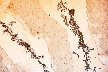 Çatlakları ve çizikleri olan beton bir duvarın dokusu arka plan olarak kullanılabilir.