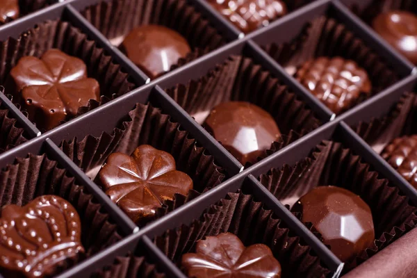 Sortiment Feiner Schokoladenbonbons Weißer Dunkler Und Milchschokolade Hintergrund Kopierraum — Stockfoto