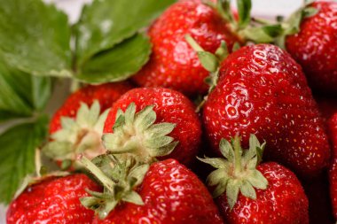 Yapraklı taze sulu çilekler. Taze yaz çileği hasadı