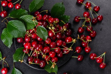 Olgun kiraz yığınını yaprak ve saplarla kapatın. Büyük bir taze kırmızı kiraz koleksiyonu. Olgun kiraz arkaplanı