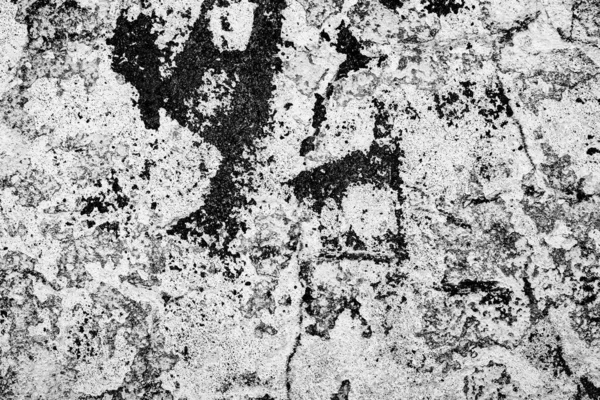 Stary Szary Mur Grunge Betonowe Tło Naturalną Fakturą Cementu — Zdjęcie stockowe
