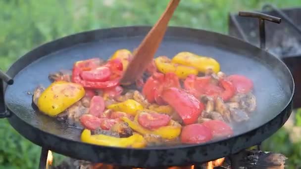 Verse Groenten Worden Gekookt Een Grillpan Open Vuur Open Lucht — Stockvideo