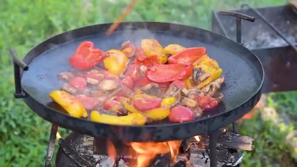 新鮮な野菜は オープンエアのオープン火災でグリルパンで調理されています — ストック動画