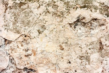 Doku, duvar, beton, arka plan olarak kullanılabilir. Çizik ve çatlaklarla dolu bir duvar parçası.