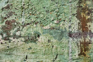 Doku, duvar, beton, arka plan olarak kullanılabilir. Çizik ve çatlaklarla dolu bir duvar parçası.