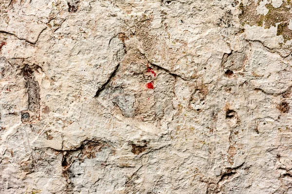 Textur Vägg Betong Det Kan Användas Som Bakgrund Väggfragment Med — Stockfoto