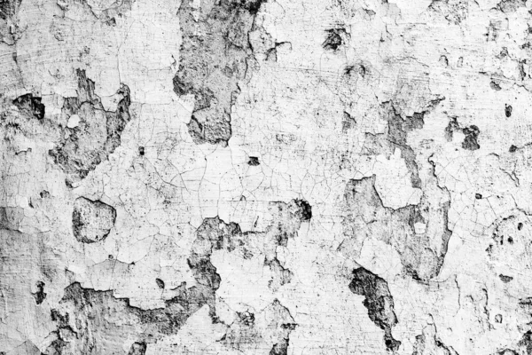 Old Grey Wall Grunge Concrete Background Natural Cement Texture — Stock Photo, Image