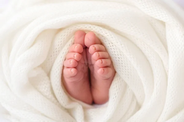 Feet Newborn Baby Wrapped White Soft Covering First Days Child — Stock Photo, Image