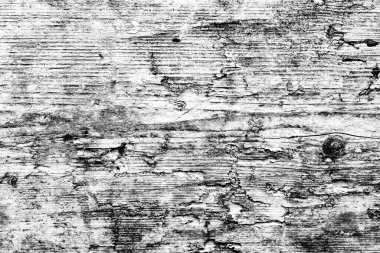 Ahşap doku arka planı. Beyaz kabuklu eski ahşap dokular.